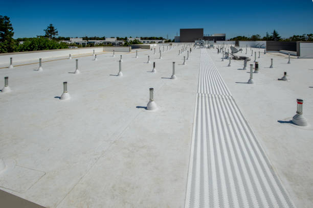 Best Roof Moss and Algae Removal  in Granite Falls, WA